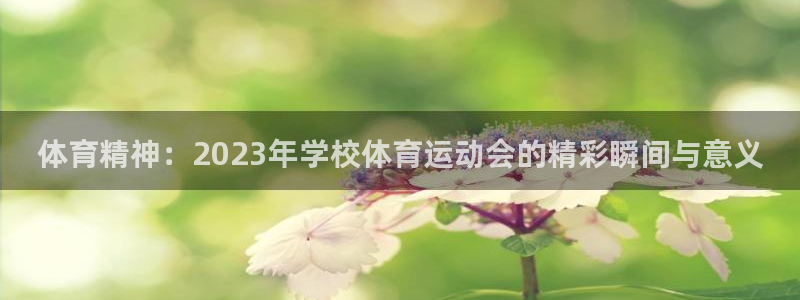 球王会体育