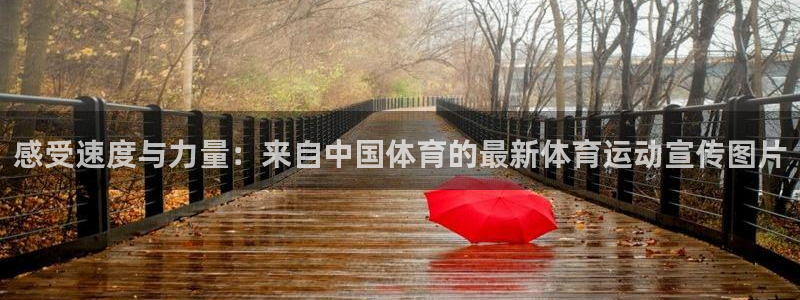 球王会体育
