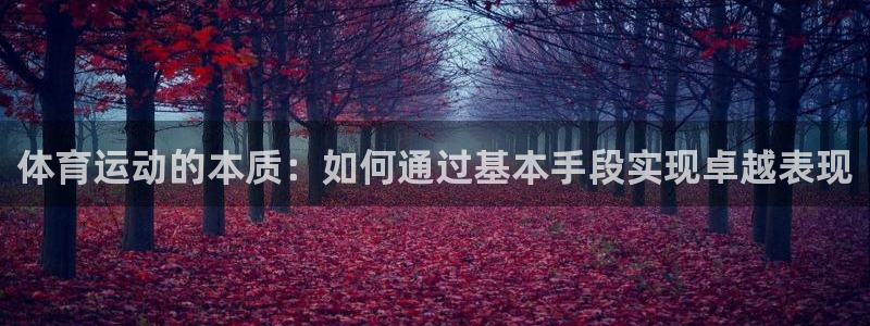 球王会体育