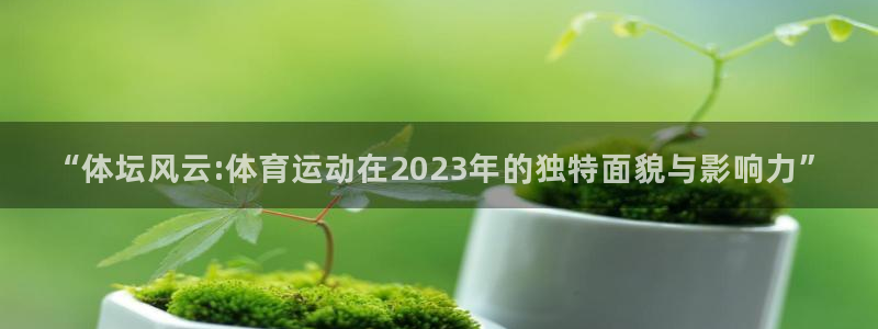 球王会体育：“体坛风云:体育运动在2023年的独特面貌与影响力”