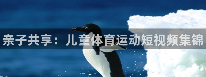 球王会体育：亲子共享：儿童体育运动短视频集锦