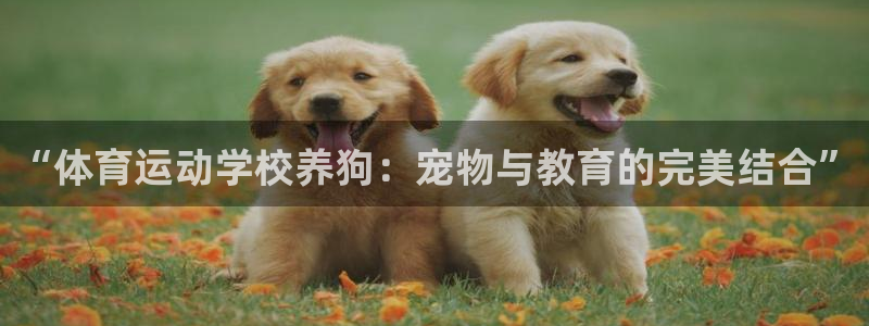 球王会体育