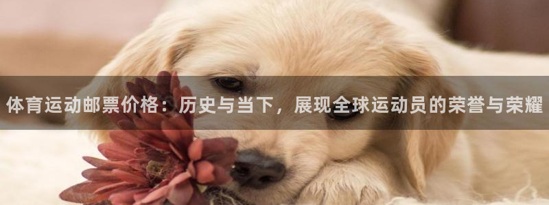 球王会体育：体育运动邮票价格：历史与当下，展现全球运动员的荣誉与荣耀