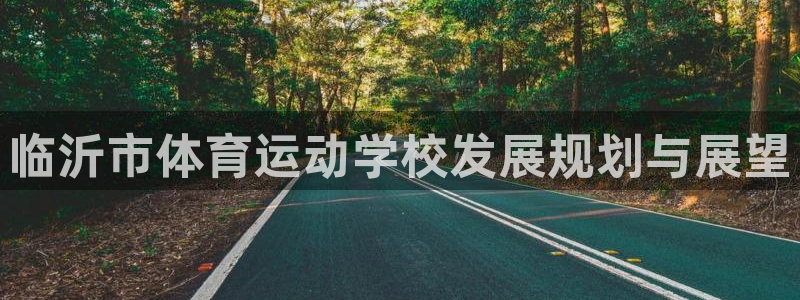 球王会体育：临沂市体育运动学校发展规划与展望