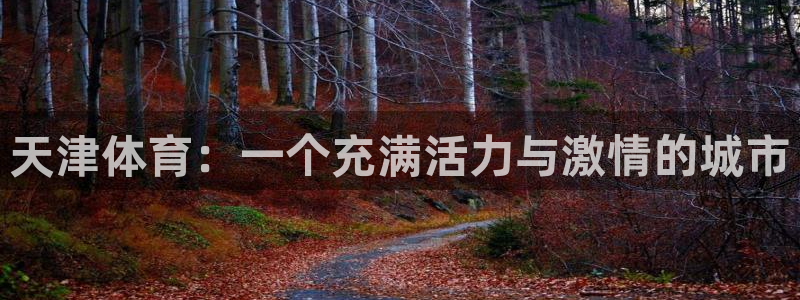 球王会体育
