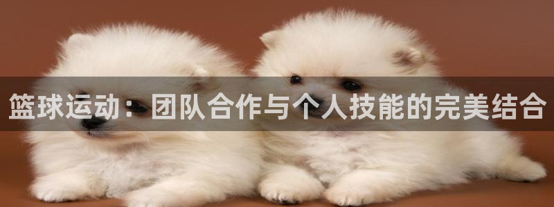 球王会体育