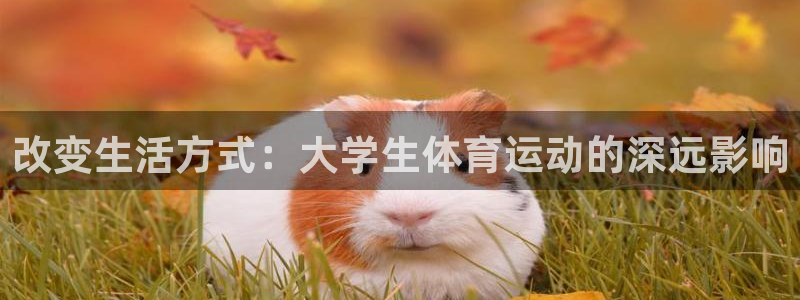 球王会体育