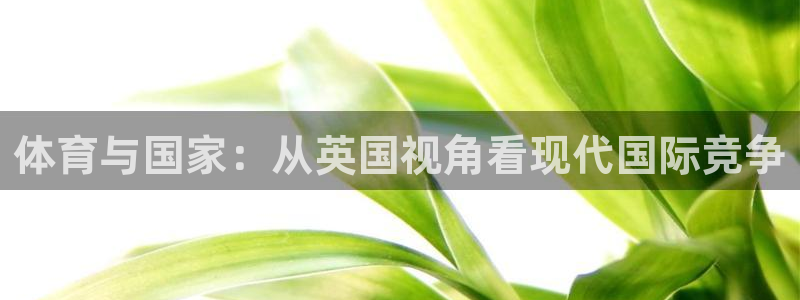 球王会体育
