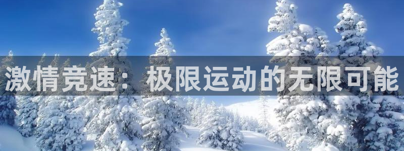 球王会体育