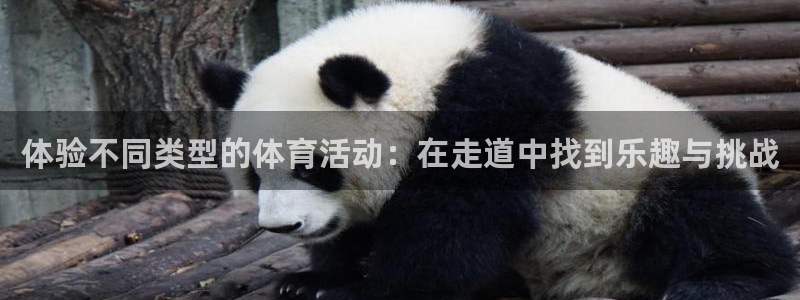 球王会体育：体验不同类型的体育活动：在走道中找到乐趣与挑战