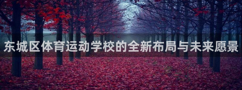 球王会体育：东城区体育运动学校的全新布局与未来愿景