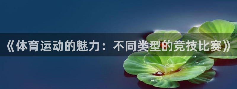 球王会体育：《体育运动的魅力：不同类型的竞技比赛》