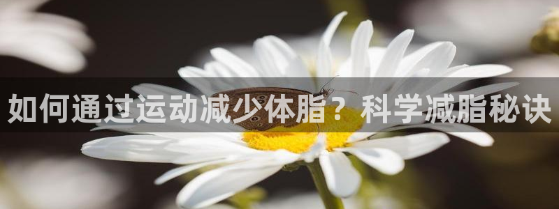 球王会体育